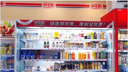鮮領惠運營技巧 城市合伙人鋪貨進階秘籍，日用雜貨行業實戰指南